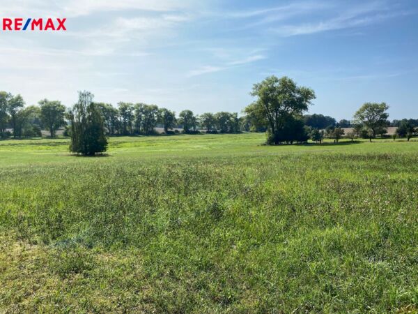 REMAX Brno