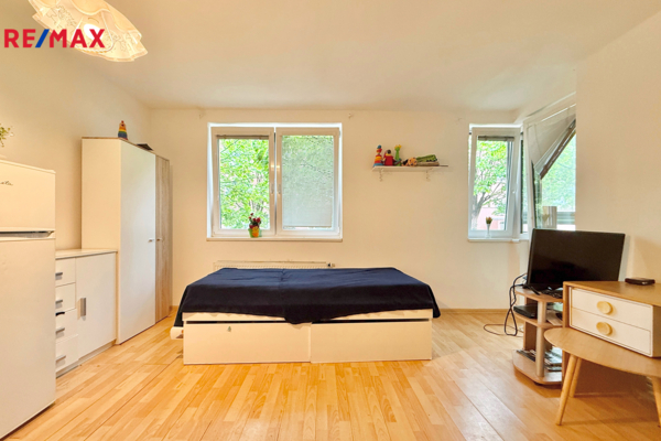 REMAX Delux