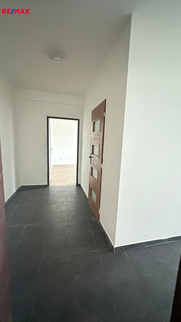 REMAX Brno