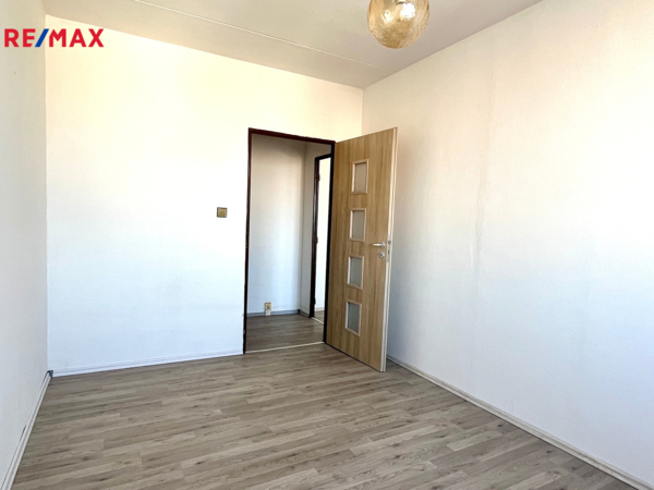 REMAX Delux