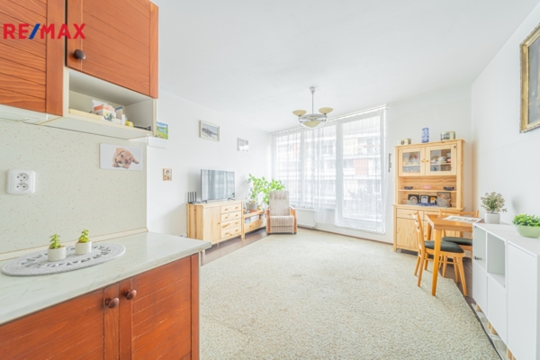 REMAX Delux