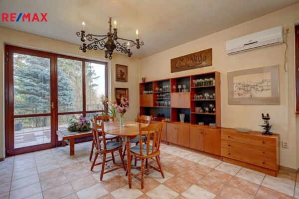REMAX Delux