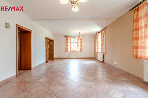 REMAX Delux