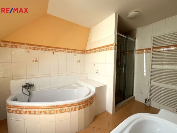 REMAX Delux
