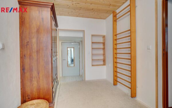 REMAX Delux
