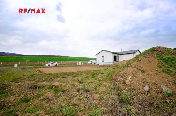 REMAX Delux