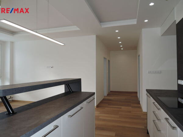 REMAX Delux