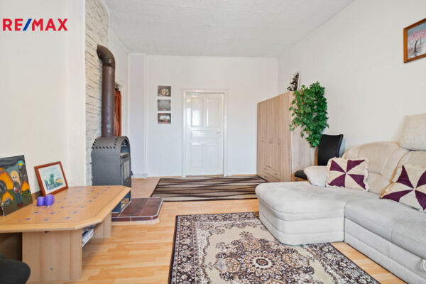 REMAX Delux