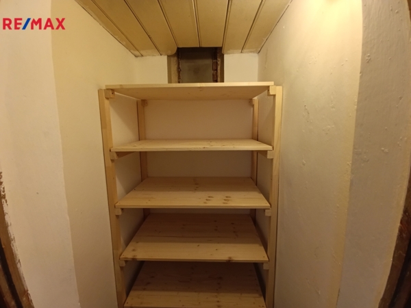 REMAX Delux
