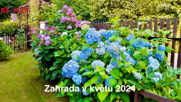 2764456.jpg