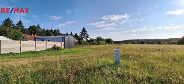 REMAX Delux