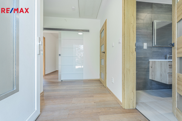REMAX Delux