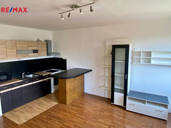 REMAX Delux