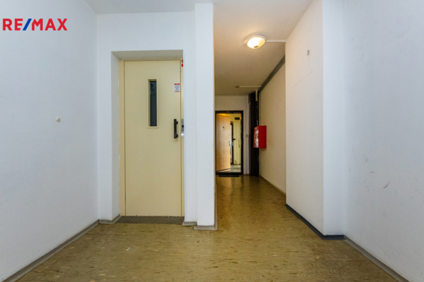 2725366.jpg