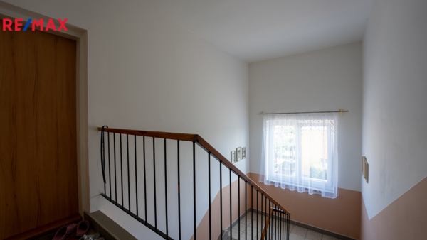 REMAX Delux