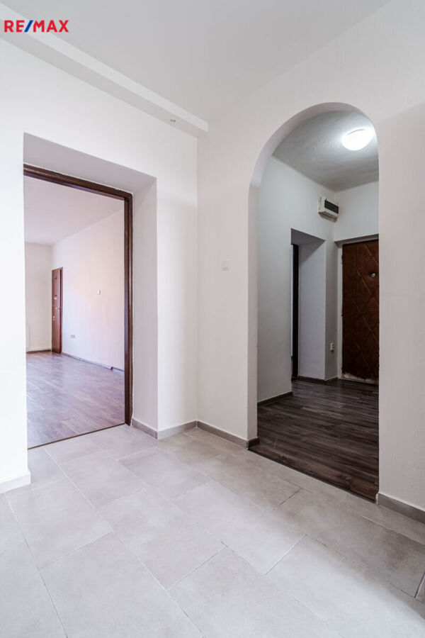 REMAX Delux