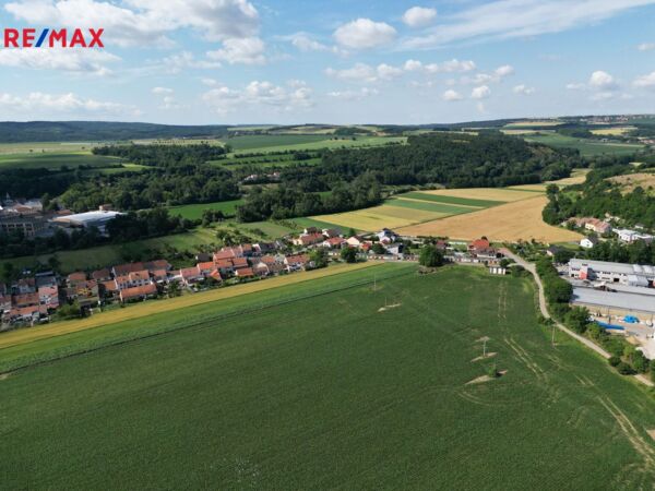 REMAX Delux