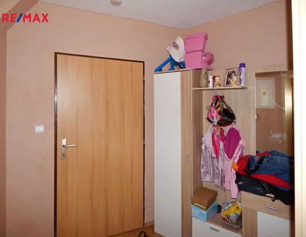 REMAX Delux