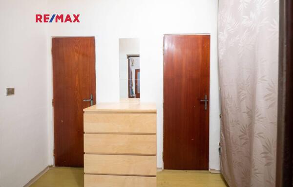 REMAX Delux