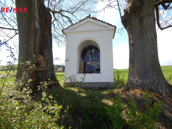 REMAX Delux
