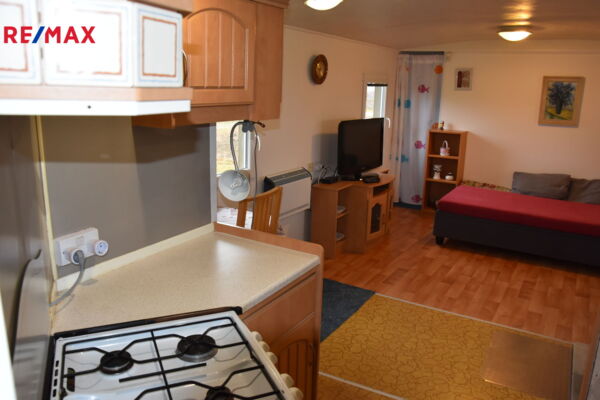REMAX Delux