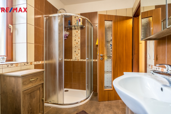 REMAX Delux