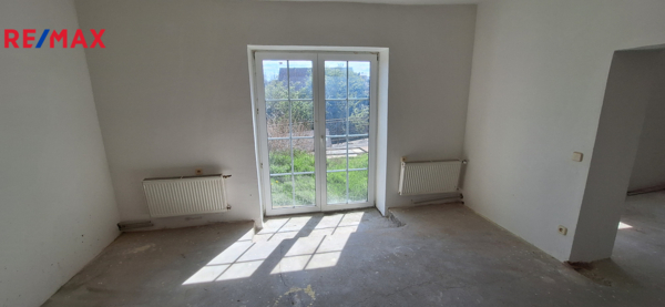 REMAX Delux