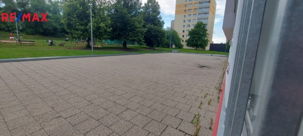 2897272.jpg