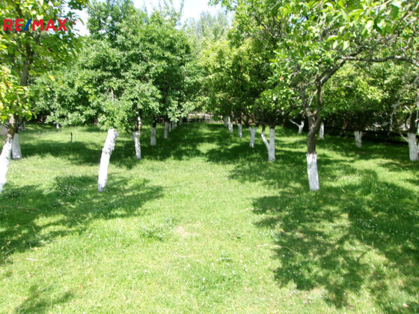 REMAX Brno