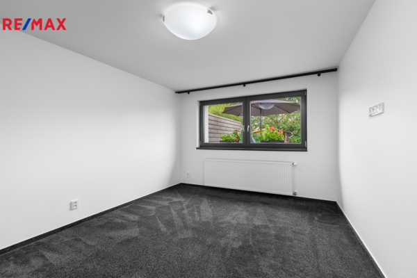 REMAX Delux