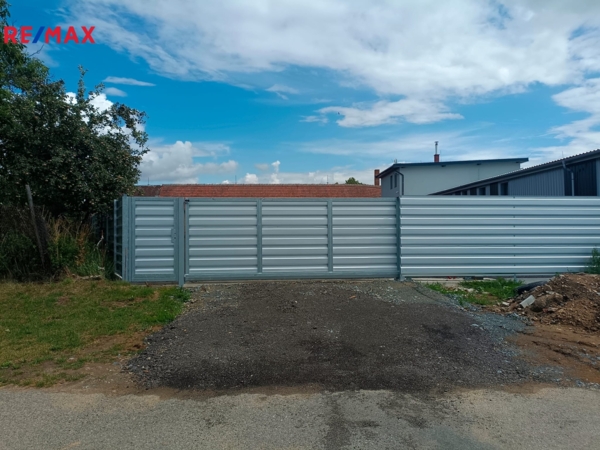 REMAX Delux