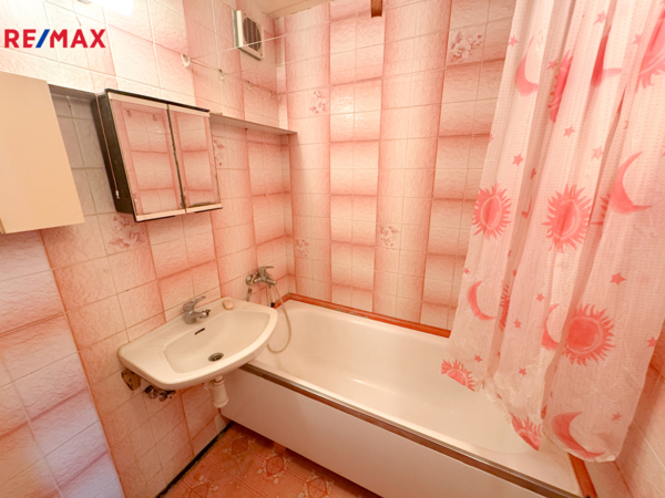 REMAX Delux