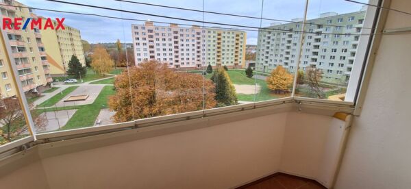 2806744.jpg