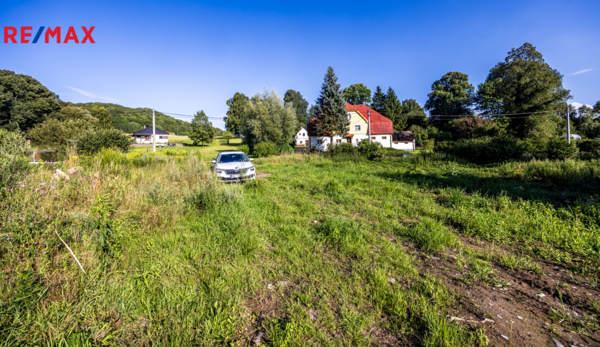 REMAX Delux