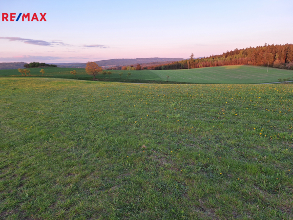 REMAX Delux