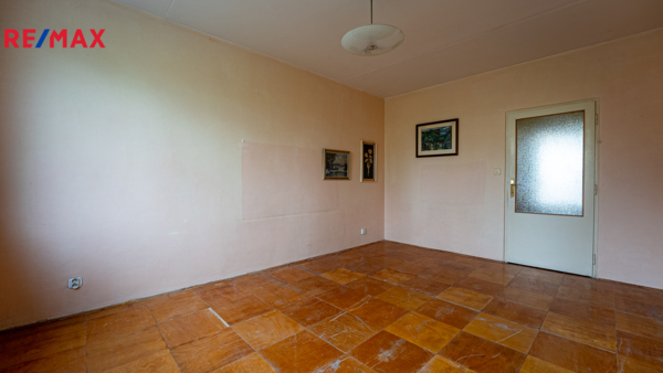 REMAX Delux
