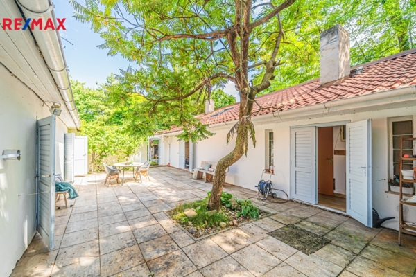 REMAX Delux