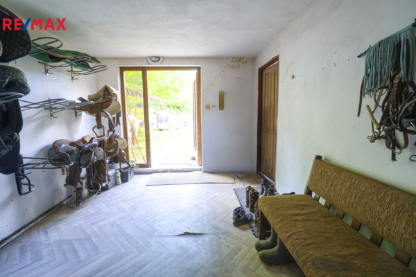 2815940.jpg