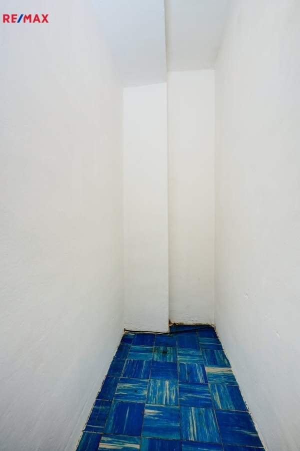 2920500.jpg