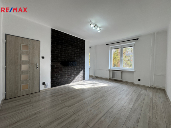 REMAX Delux