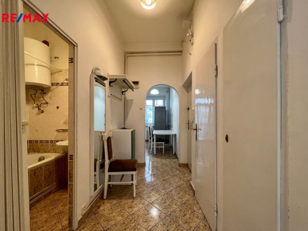 REMAX Delux