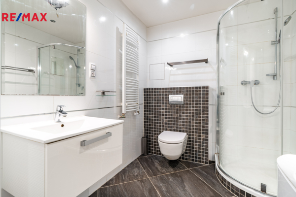 REMAX Delux