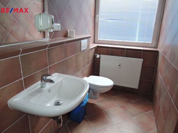 REMAX Delux