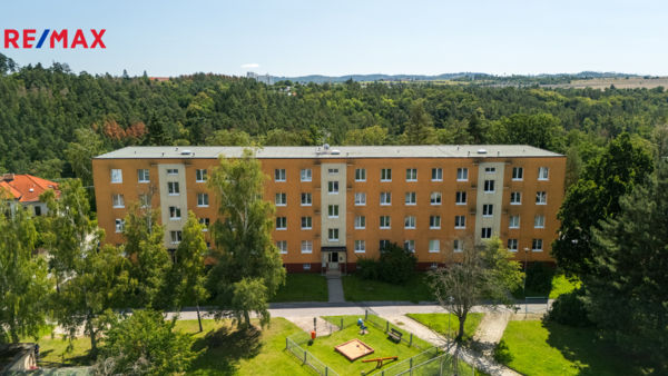 2943541.jpg