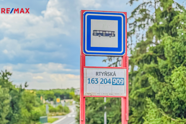 2907476.jpg