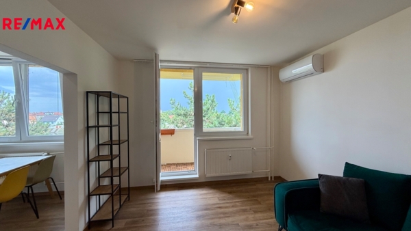 REMAX Delux