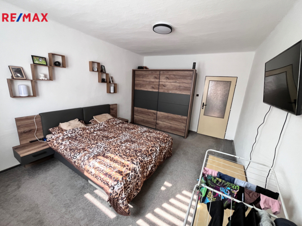 REMAX Delux