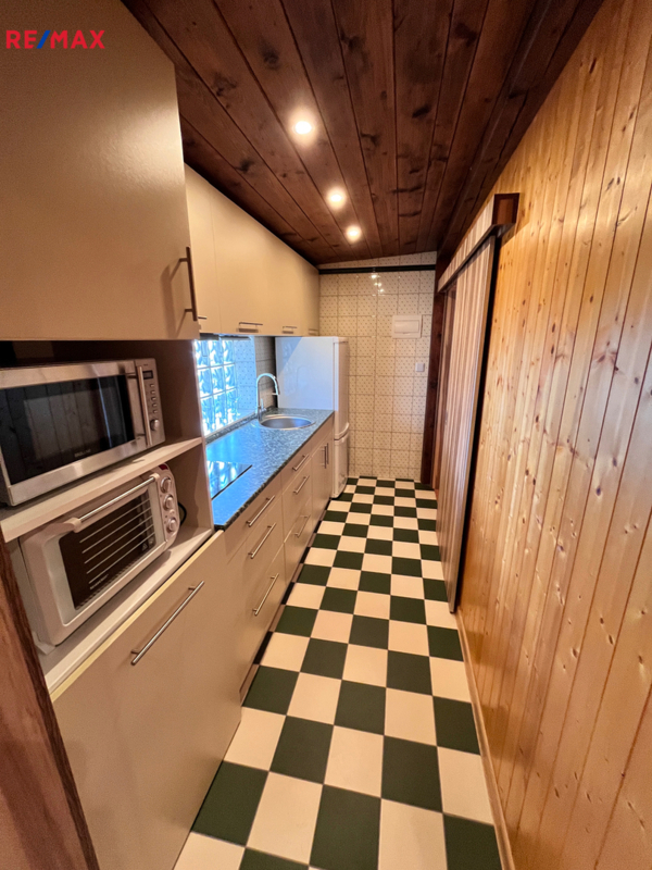 REMAX Delux