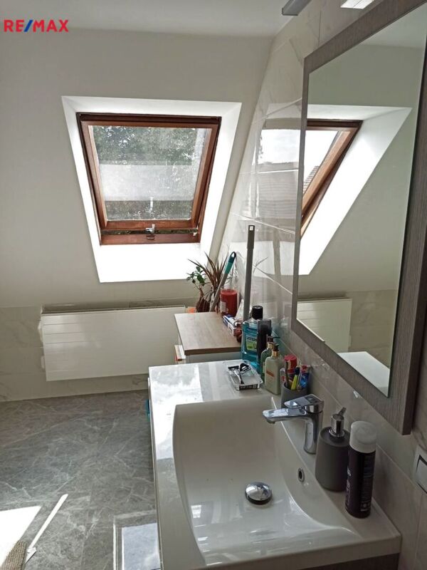 REMAX Delux