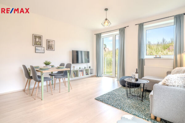 REMAX Delux
